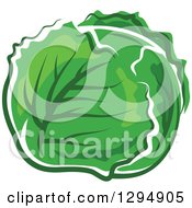 Clipart Of A Head Of Green Cabbage Royalty Free Vector Illustration