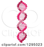 Clipart Of A 3d Pink Dna Double Helix Cloning Strand Royalty Free Vector Illustration