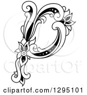 Poster, Art Print Of Black And White Vintage Lowercase Floral Letter P