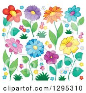 Poster, Art Print Of Colorful Spring Flower Blooms And Blossoms