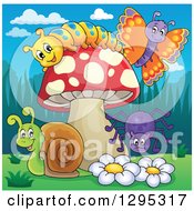 Poster, Art Print Of Happy Cartoon Caterpillar Butterfly Snail And Spider By A Mushroom And Flowers