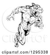 Clipart Of A Black And White Angry Fierce Muscular Sprinting Tiger Man Mascot Royalty Free Vector Illustration