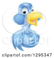 Poster, Art Print Of Pleased Blue Bird Character Giving A Thumb Up