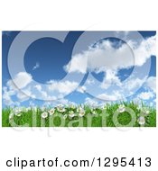 Poster, Art Print Of 3d Sunny Spring Day Background With Blue Sky Clouds Daisies And Grass