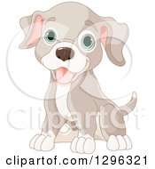 Poster, Art Print Of Cute Sitting Happy Tan And Brown Puppy Dog With Blue Eyes