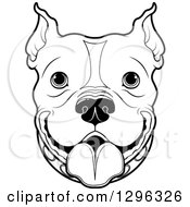 Black And White Happy Pitbull Dog Face