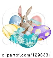 Poster, Art Print Of Happy Brown Easter Bunny Sitting In An Egg Shell