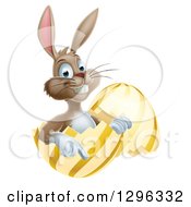 Poster, Art Print Of Happy Brown Easter Bunny Sitting And Pointing From A Gold And Yellow Egg Shell