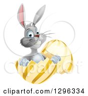 Poster, Art Print Of Happy Gray Easter Bunny Sitting In A Gold And Yellow Egg Shell