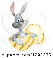 Poster, Art Print Of Happy Gray Easter Bunny Sitting And Pointing In A Gold And Yellow Egg Shell