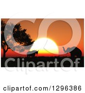 Poster, Art Print Of 3d Background Of A Silhouetted Rhino And Elephants And An Orange African Sunset