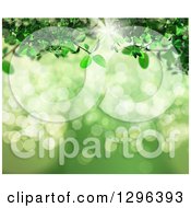 Poster, Art Print Of 3d Green Vine Over Bokeh Flares With Sunshine