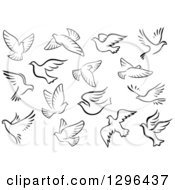 Poster, Art Print Of Black And White Flying Dove Birds