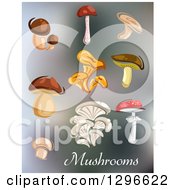 Clipart Of A Variety Of Mushrooms And Text On Blur Royalty Free Vector Illustration