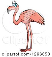 Clipart Of A Cartoon Pink Flamingo Bird Facing Left Royalty Free Vector Illustration