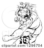 Poster, Art Print Of Black And White Tough Angry Muscular Lion Man Punching And Roaring