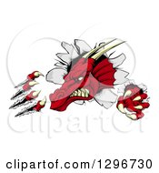 Poster, Art Print Of Fierce Red Dragon Mascot Head Shredding Through A Wall
