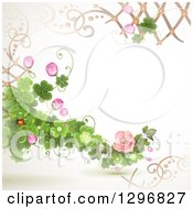 Poster, Art Print Of Floral Rose Wedding Background With Shamrock Clovers Lattice And A Ladybug