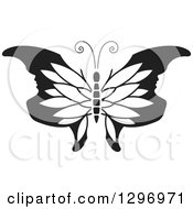 Poster, Art Print Of Black And White Butterfly With Petal Patterned And Face Tipped Wings