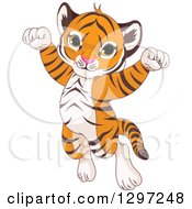 Poster, Art Print Of Adorable Happy Baby Tiger Cub Jumping And Cheering