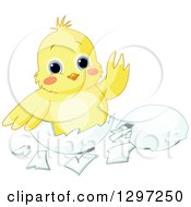Poster, Art Print Of Adorable Baby Chick Waving In An Egg Shell