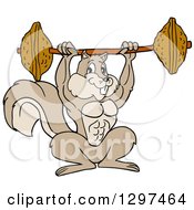 Clipart Of A Cartoon Buff Muscular Bodybuilder Squirrel Lifting A Barbell With Nuts Royalty Free Vector Illustration
