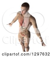 Clipart Of A 3d Man With Visible Healthy Internal Organs On White Royalty Free Illustration