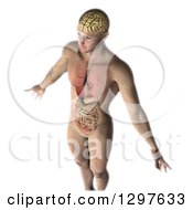 Clipart Of A 3d Man With Visible Healthy Internal Organs And Brain On White Royalty Free Illustration