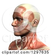 Poster, Art Print Of 3d Male Face With Visible Muscles On White