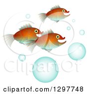 Poster, Art Print Of Fish With Bubbles On White