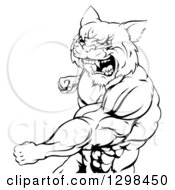 Poster, Art Print Of Black And White Tough Angry Muscular Wildcat Man Punching And Roaring