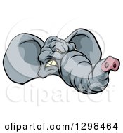 Clipart Of A Snarling Gray Elephant Face Royalty Free Vector Illustration