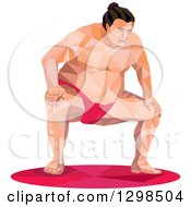Poster, Art Print Of Low Poly Squatting Sumo Wrestler