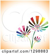 Poster, Art Print Of Three Vibrant Colorful Flowers Over White And Orange With Text Space