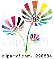 Poster, Art Print Of Three Vibrant Colorful Flowers