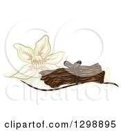 Poster, Art Print Of Vanilla Flower And Stalks