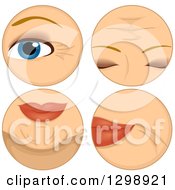 Poster, Art Print Of Wrinkles Around The Eyes Forehead Chin And Mouth