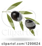 3d Branch With Two Black Olives And A Shadow