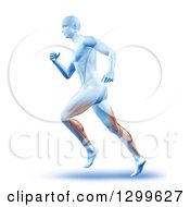 Poster, Art Print Of 3d Anatomic Running Man With Visible Muscles Over White