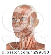 Poster, Art Print Of 3d Anatomical Female Head With Visible Muscles On White
