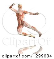 Poster, Art Print Of 3d Anatomical Man Kick Boxing With Visible Muscles Over White