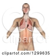 Poster, Art Print Of 3d White Anatomical Man With Visibla Lungs On White