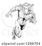 Poster, Art Print Of Black And White Aggressive Sprinting Muscular Boar Man