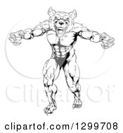 Poster, Art Print Of Black And White Muscular Wolf Man Mascot Standing In A Threatening Stance