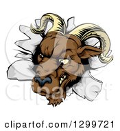 Poster, Art Print Of Brown Snarling Ram Breaking Through A Wall