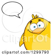 Clipart Of A Cartoon Yellow Chick Peeking And Talking Royalty Free Vector Illustration