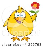 Clipart Of A Cartoon Yellow Chick Holding A Flower Royalty Free Vector Illustration