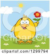 Clipart Of A Cartoon Yellow Chick Holding A Flower On A Sunny Day Royalty Free Vector Illustration