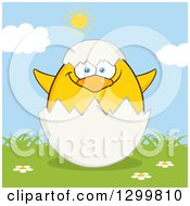 Poster, Art Print Of Cartoon Yellow Chick Hatching From An Egg On Grass