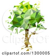 Clipart Of A Geometric Mature Tree Royalty Free Vector Illustration